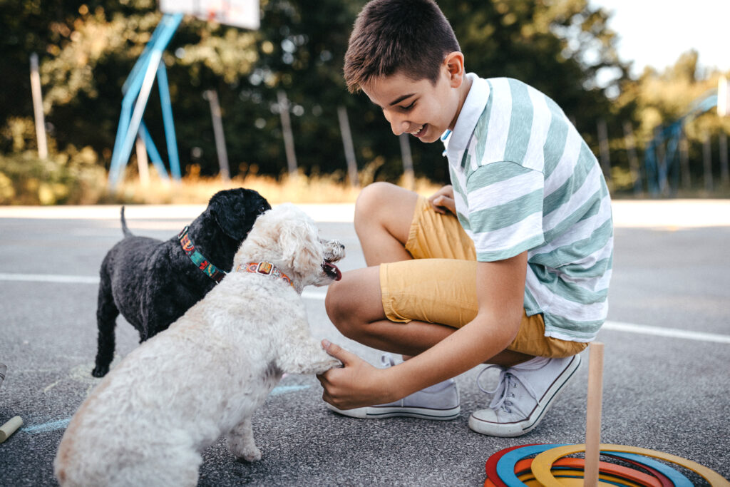 A middle school student kneels with dogs on a playground at the park. 